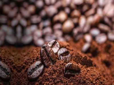 Quy chuẩn nào cho sản phẩm cà phê bột?