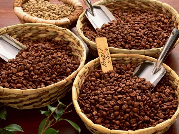 Phương pháp chế biến ướt bằng chế phẩm enzyme