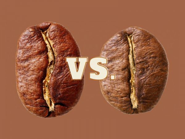 Cà phê Việt Nam là Arabica hay Robusta?